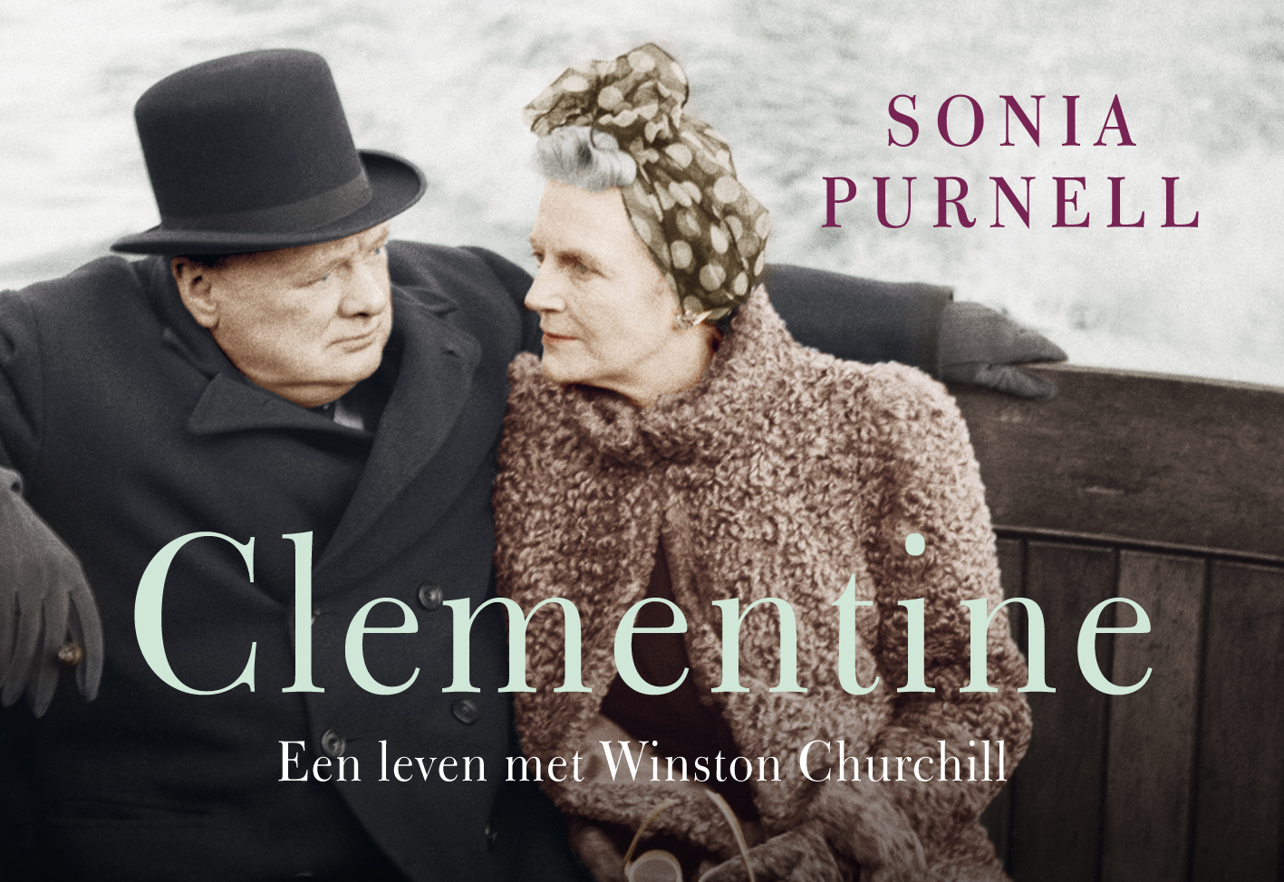 Book Club Questions For Clementine By Sonia Purnell