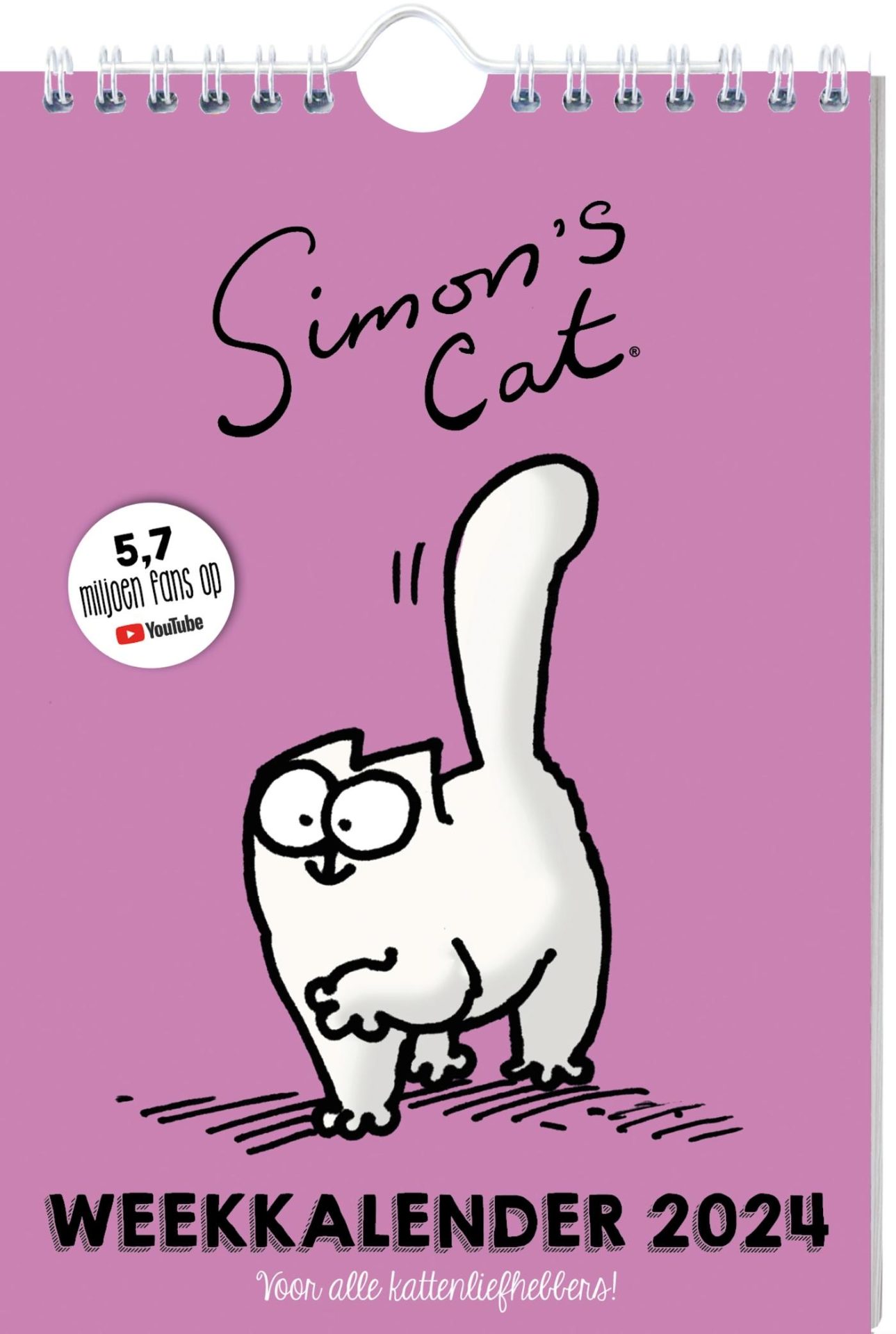 Simon’s Cat weekkalender - 2024 -  Geschiedenisboeken