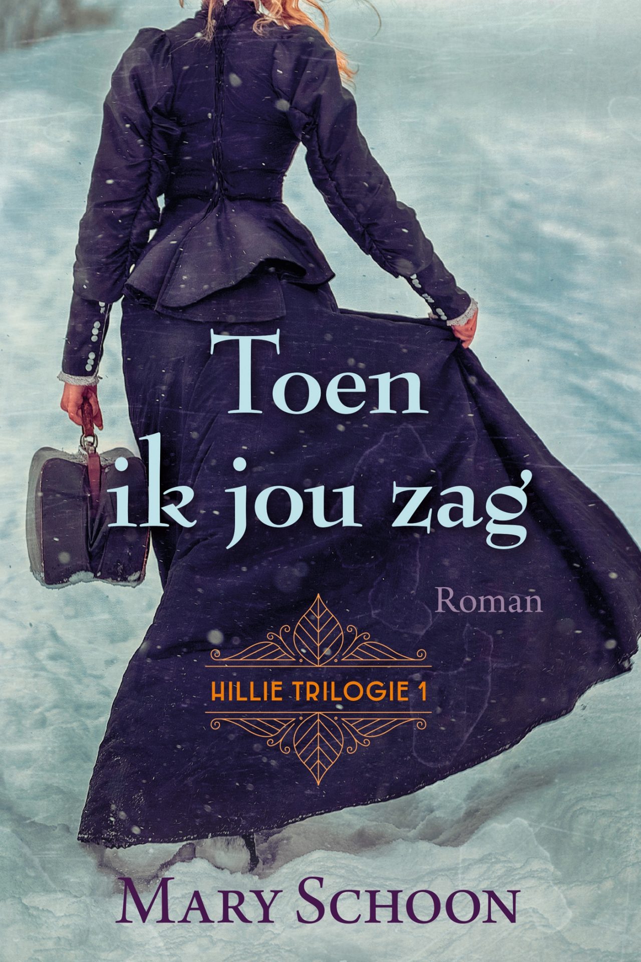 Toen ik jou zag Mary Schoon Geschiedenisboeken