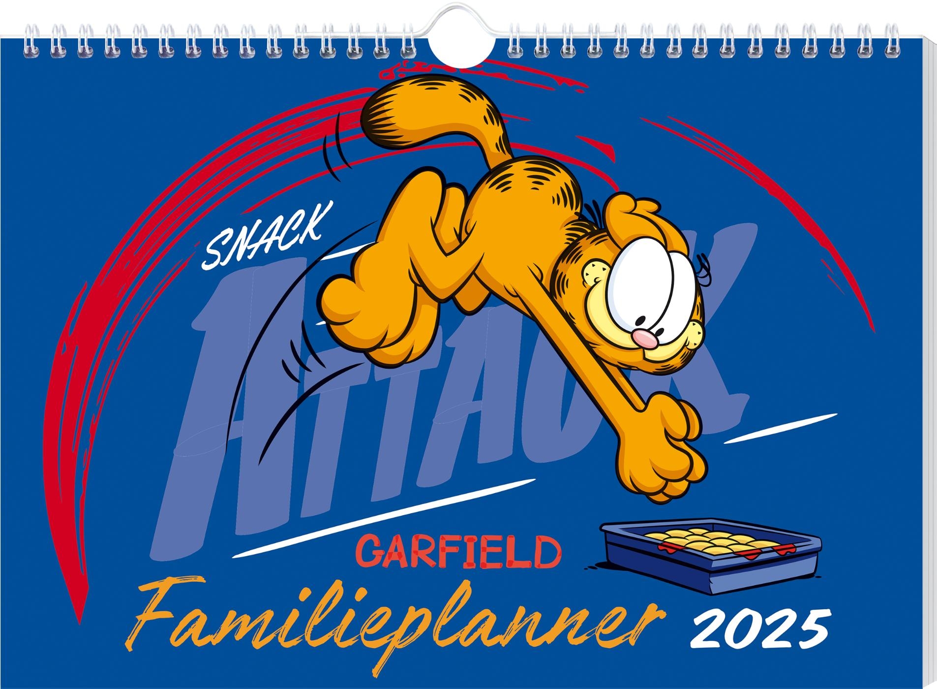 Garfield familieplanner 2025 Geschiedenisboeken