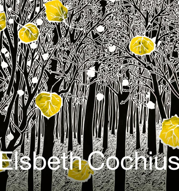 Elsbeth Cochius - Josien Beltman | Geschiedenisboeken